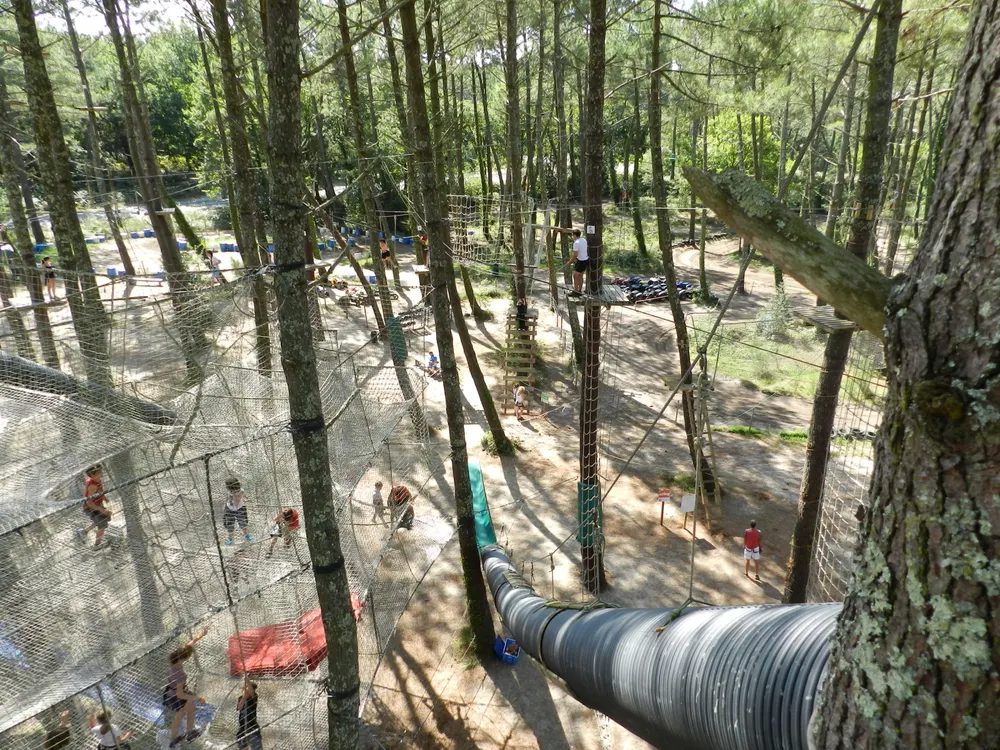 Vue d'ensemble des filets et passerelles dans la pinède d'Adrénaline Parc