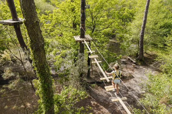 Filets fermés en hauteur, parcours aventure dans la pinède